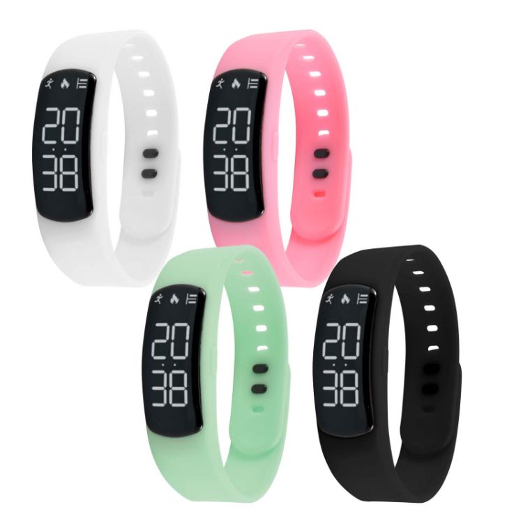 Picture of Endurance Pedometer
