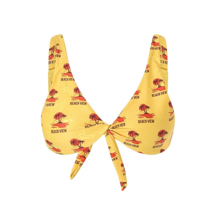 Picture of Women’s Polyester Spandex Sublimated Bikini top