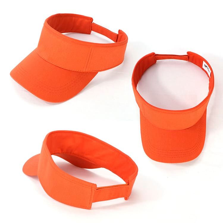 Picture of Visor